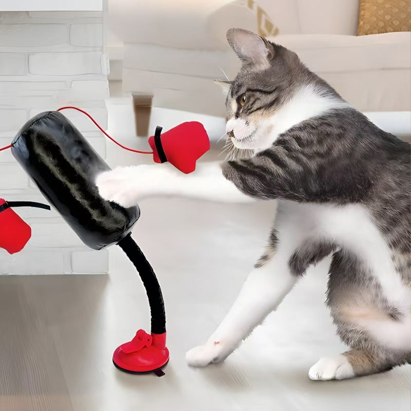 😹🥊Keeps indoor cats active🥊Mini Cat Punching Bag