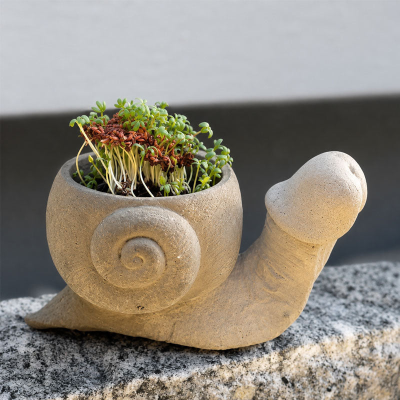 🐌 The Garden Planter That Makes Everyone Smile
