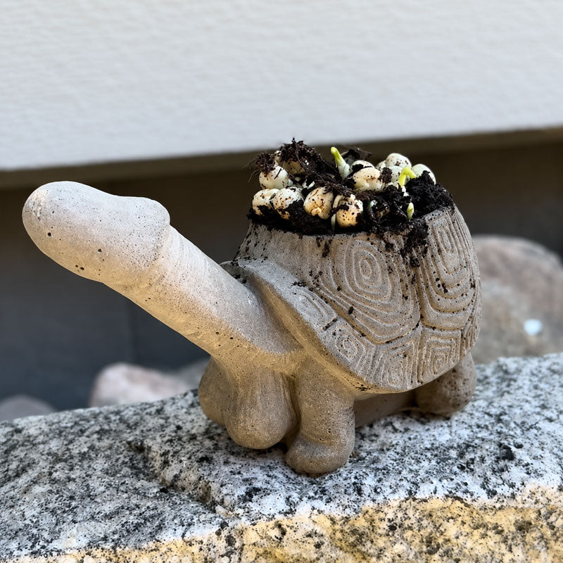 🐌 The Garden Planter That Makes Everyone Smile