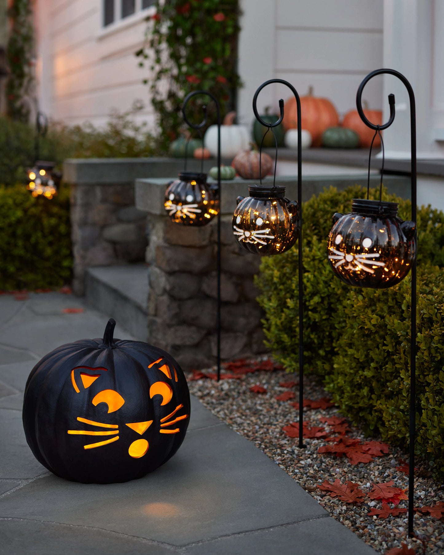 13.5" Black Outdoor Lit Cat-o'-Lantern, Width 15 in, LED Clear Lights by Balsam Hill